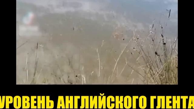 no no no mister fish
