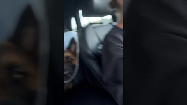 А нам! А нам! 😉