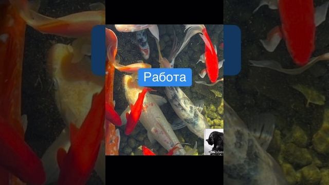 Карта дня на 20 ноября