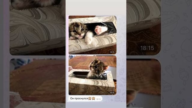 Идеальный размер!