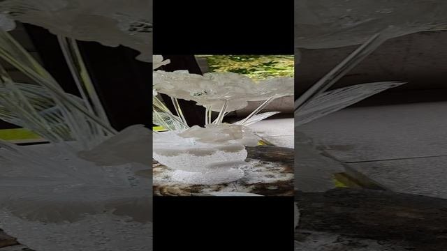 2021-09-01 14-02-48