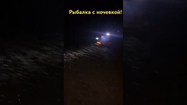 Поставили закидушки на ночь. Ждём, рыбачим, горит костёр, обалденная ночь на реке!!!