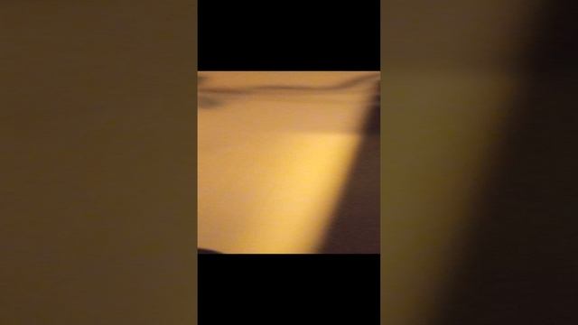 VID_20241120_152411