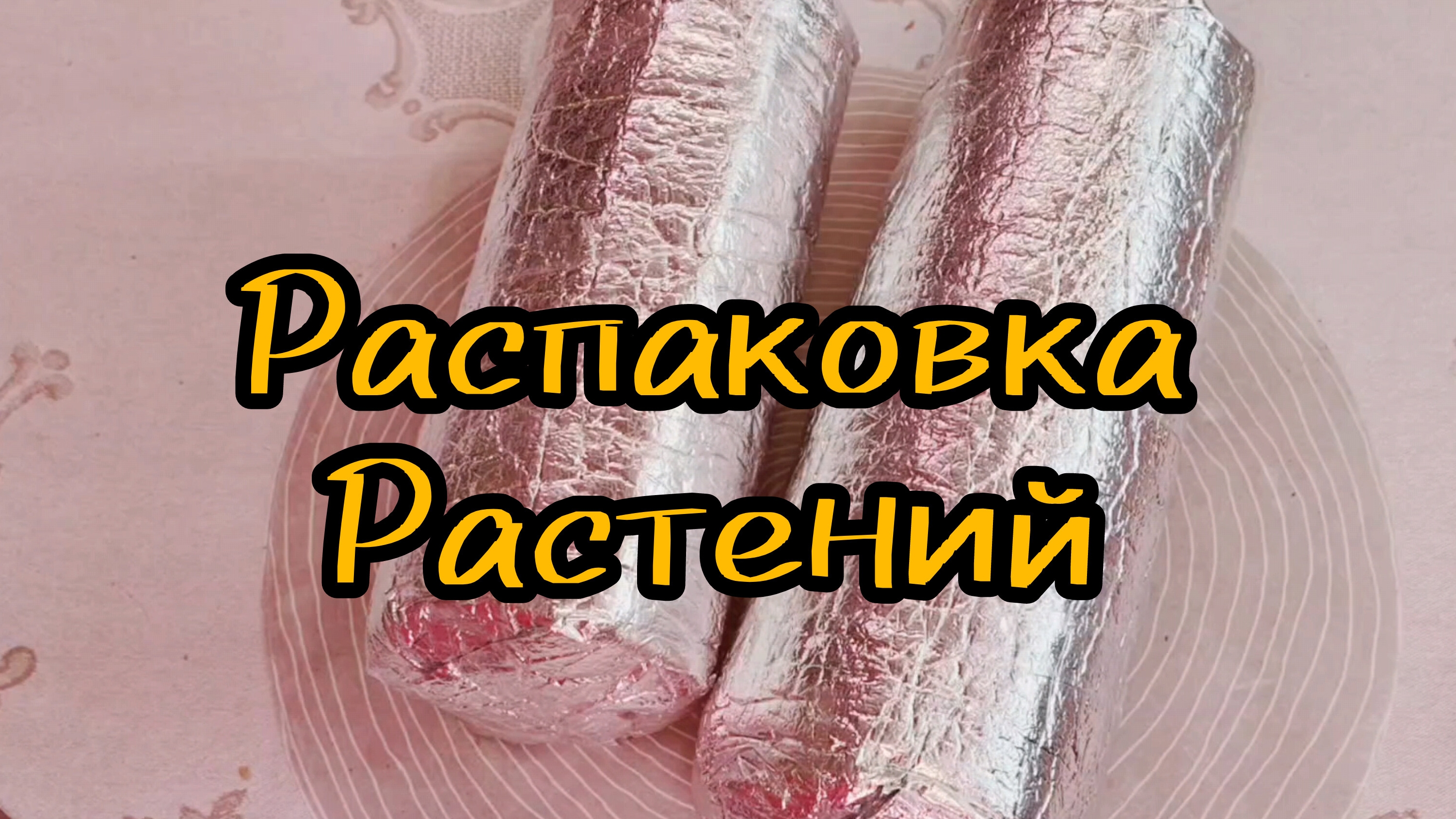 Распаковка растений 🌱
