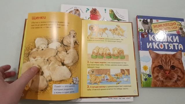 тематическая неделя Домашние животные