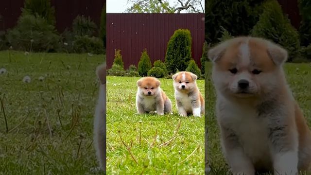 Закончилась наша фотосессия