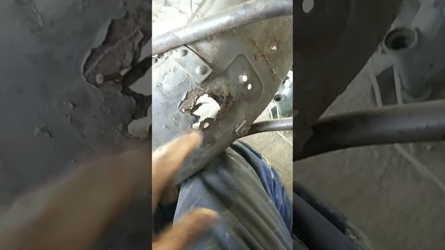VID-20241120-WA0041.mp4