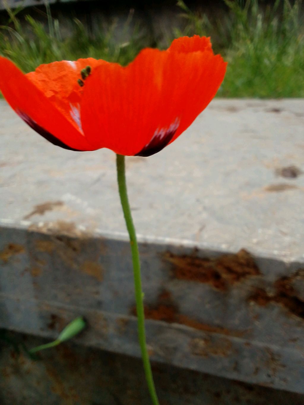 МНЕ НЕЧЕГО ДЕЛАТЬ