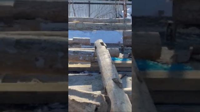 Вы бы хотели жить в доме из бревна? #shorts