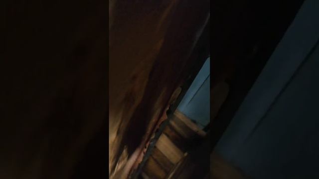 Санек сам купил приору 1 и будет рад от информации