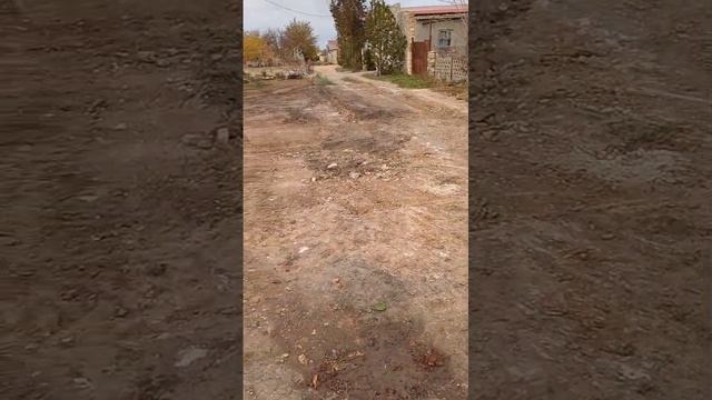 Бурей
