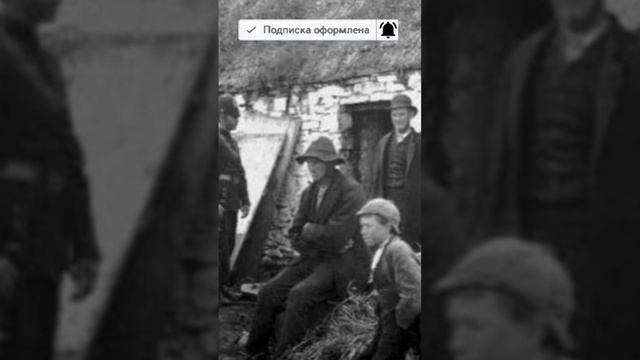 Картофельный голод Ирландии #shorts #shortvideo #история #history