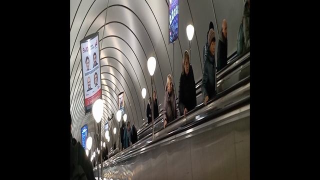 День Метро.Питер    #shorts