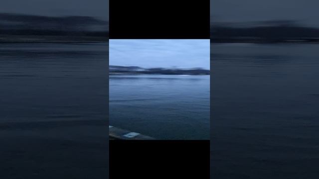 Поимка на бомбарду