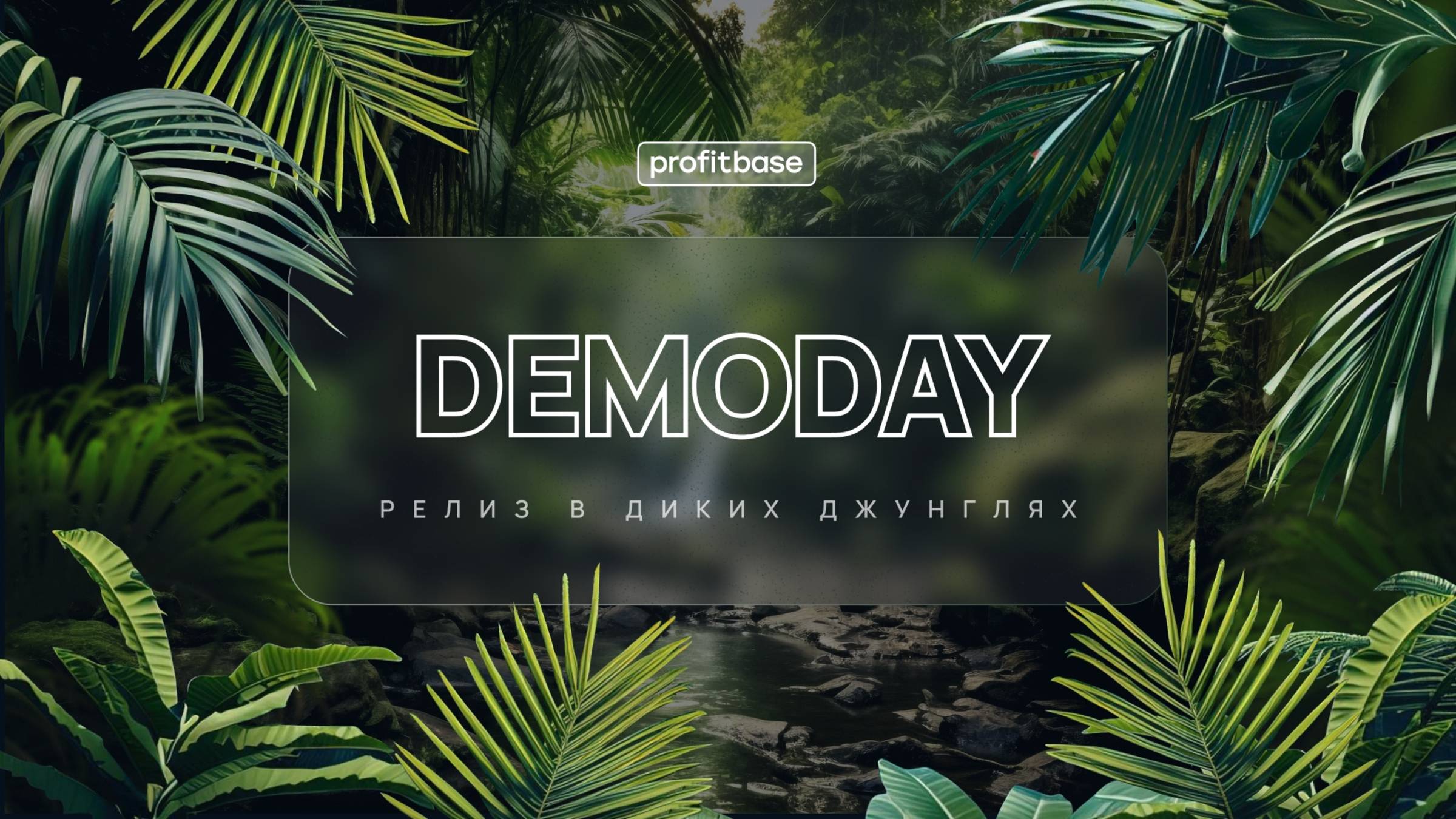 DEMODAY 11/2024 — РЕЛИЗ В ДИКИХ ДЖУНГЛЯХ