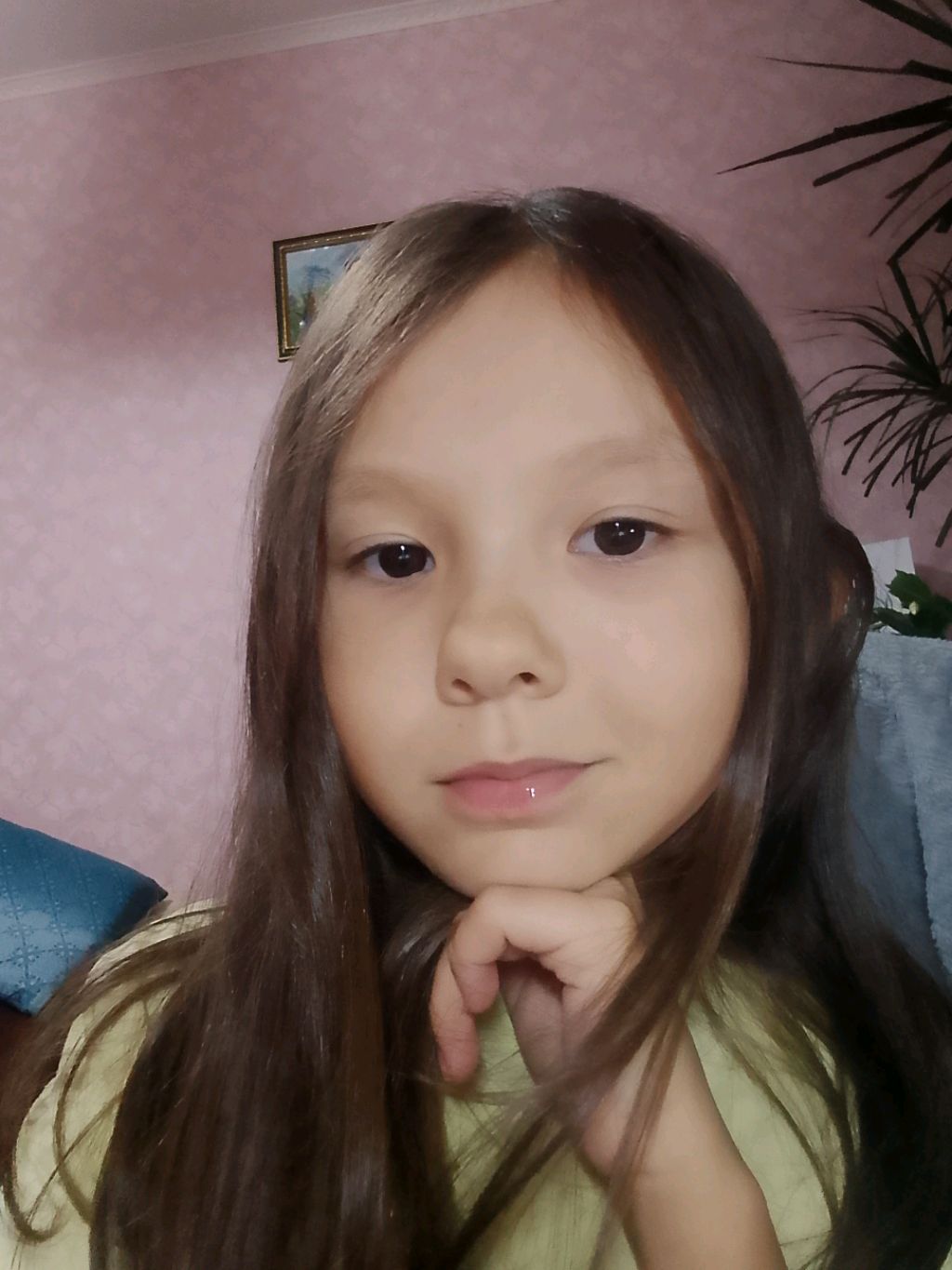 собачки:)