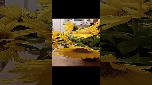 1000032319.mp4