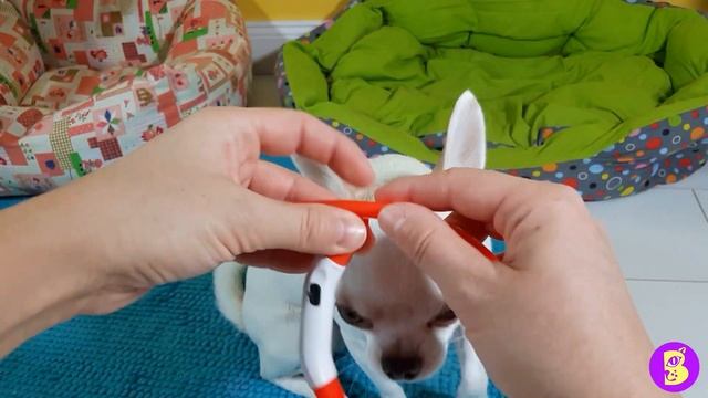 УТРО НОВОЙ РАСПАКОВКИ** НЕ ПРОСПИ ПОДАРКИ