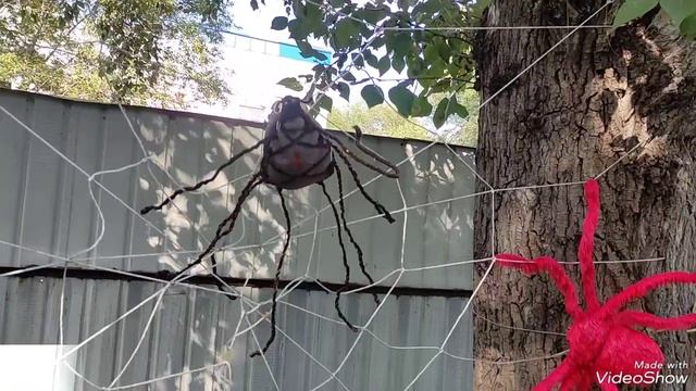 виртуальная экскурсия по экотропе ДС 1