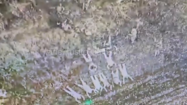 Сообщают о большом количестве пленных ВСУ в Курской области