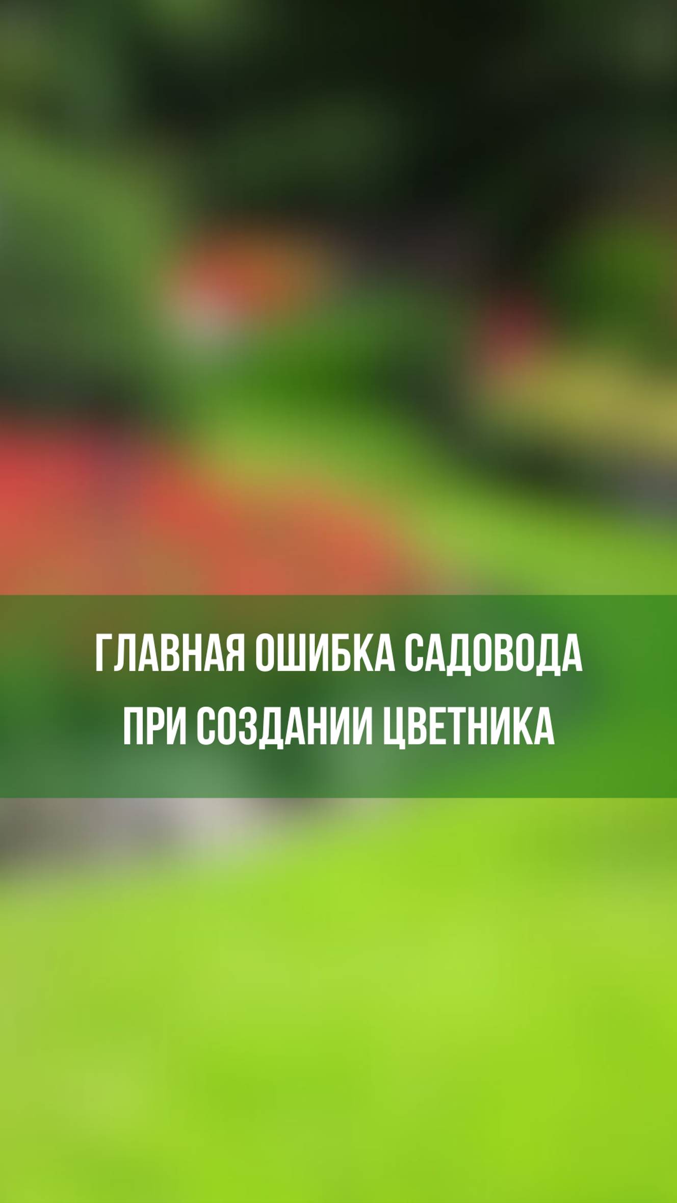 Главная ошибка садовода при создании цветника