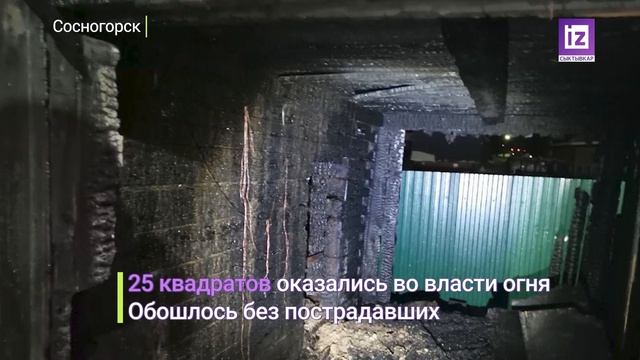 iZ ЧП - 19 НОЯБРЯ 2024
