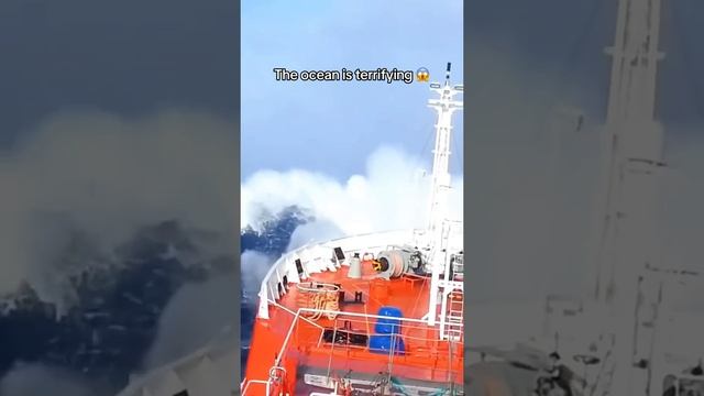 Как бывает в морях и окианах