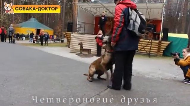 Проект «ЛАЙБУК»