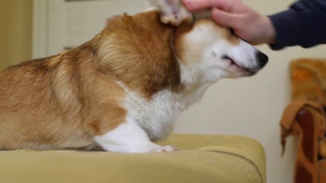 КУРАН САША - Легенда Нашего времени