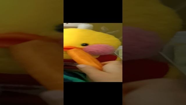 мой утренний влог