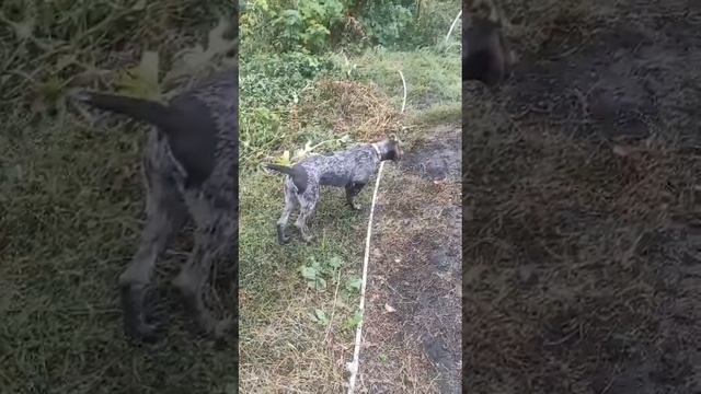 1000010617.mp4