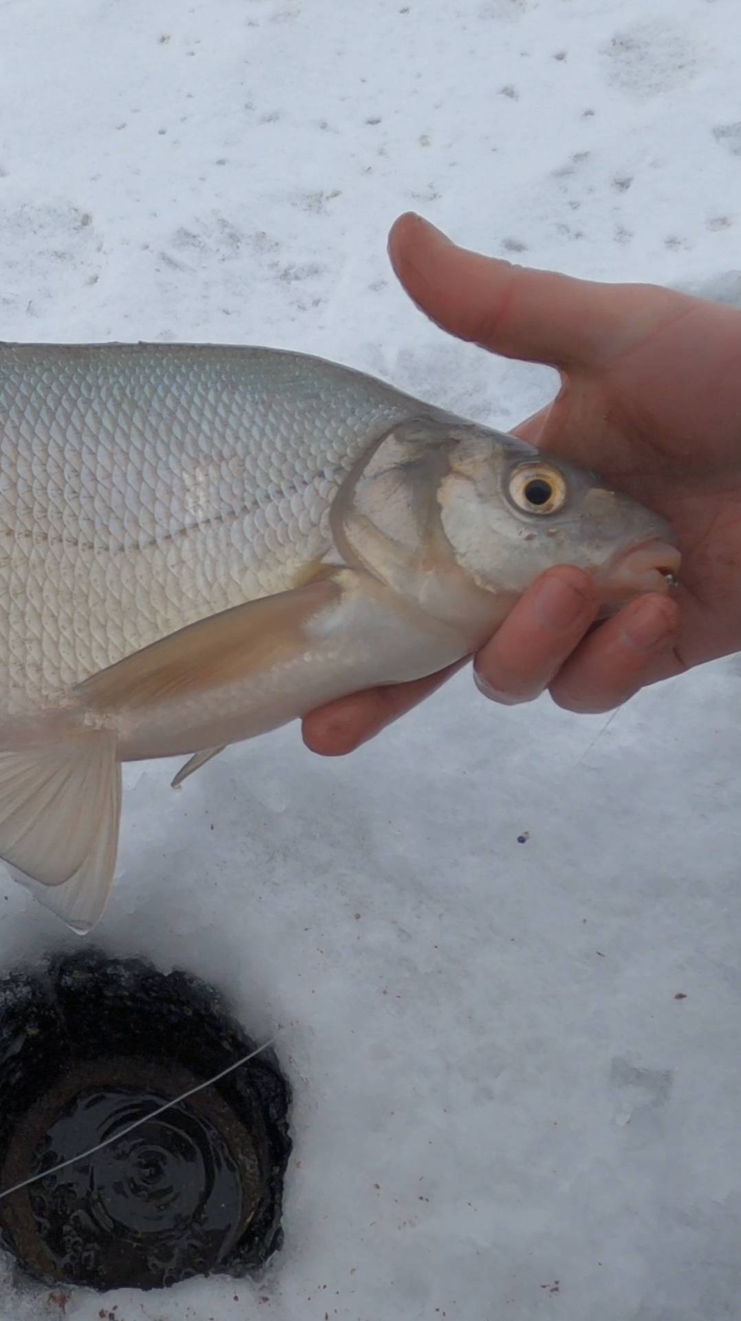 Зимняя рыбалка совсем скоро