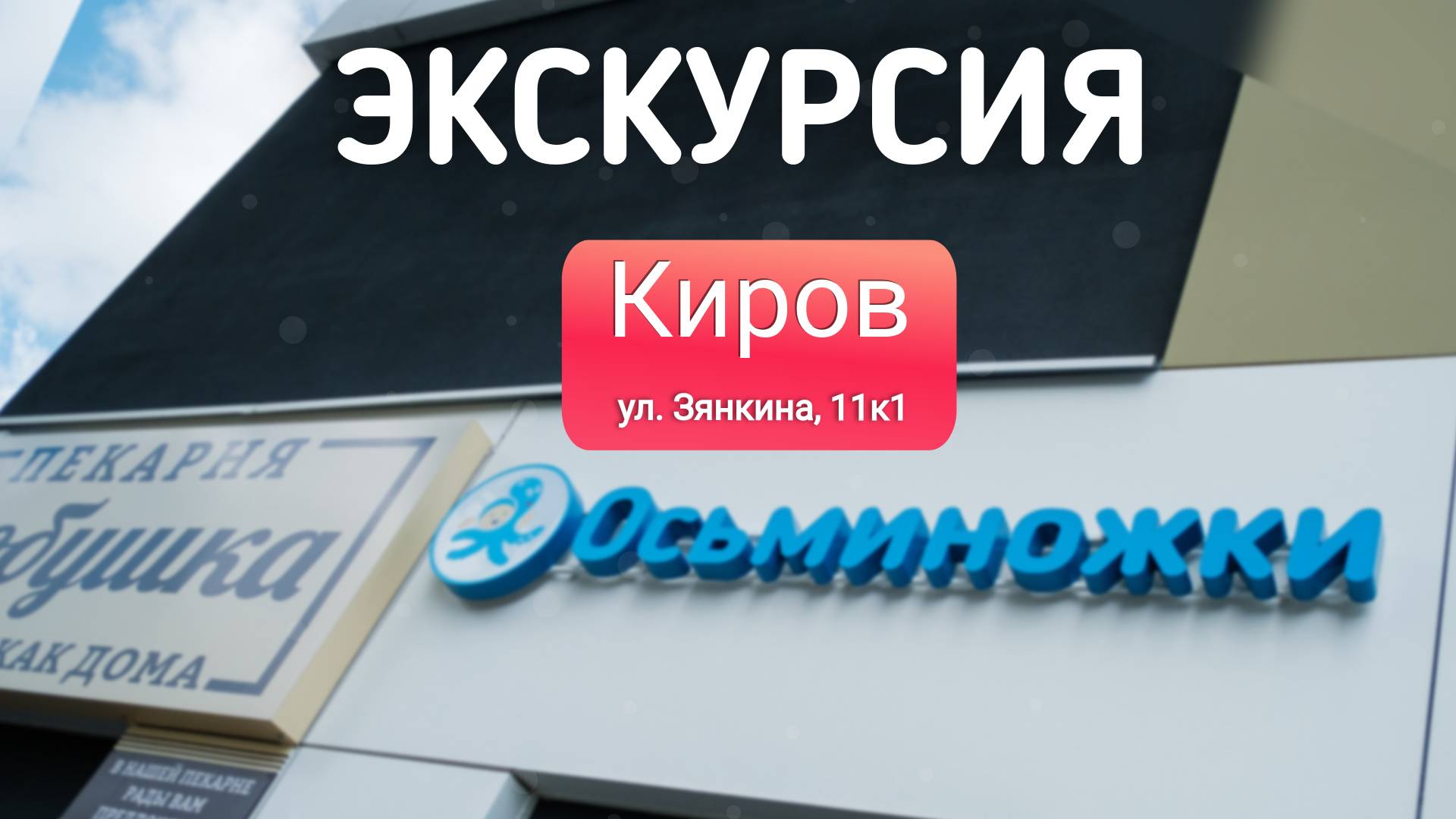 Видео-экскурсия центра детского плавания Осьминожки Киров. По адресу: ул. Зянкина, 11к1