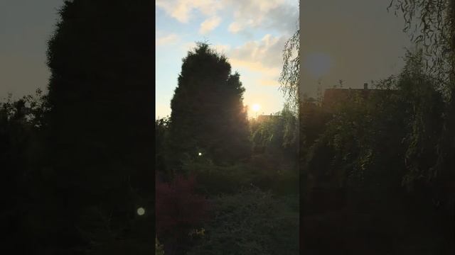 Один день из жизни