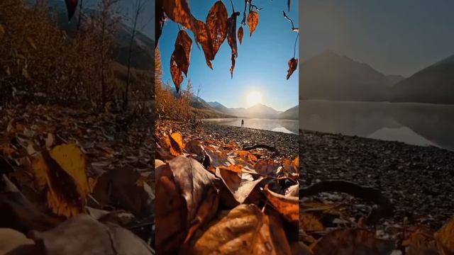 Хочется автор песни: Сизов Е А