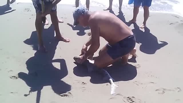 Поймали на удочку