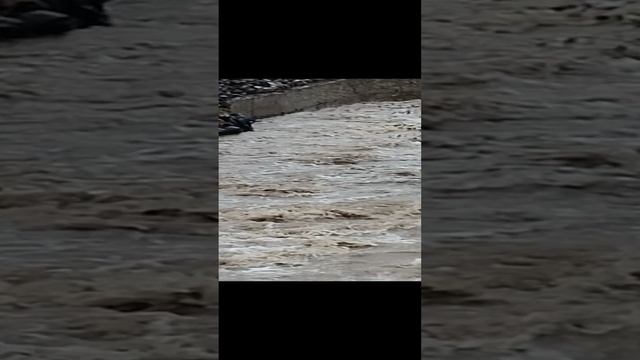 1000152410.mp4