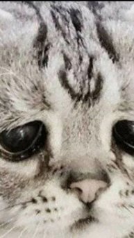 Я удалил YouTube