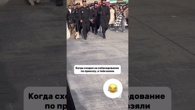 14 июля 2024 г.
