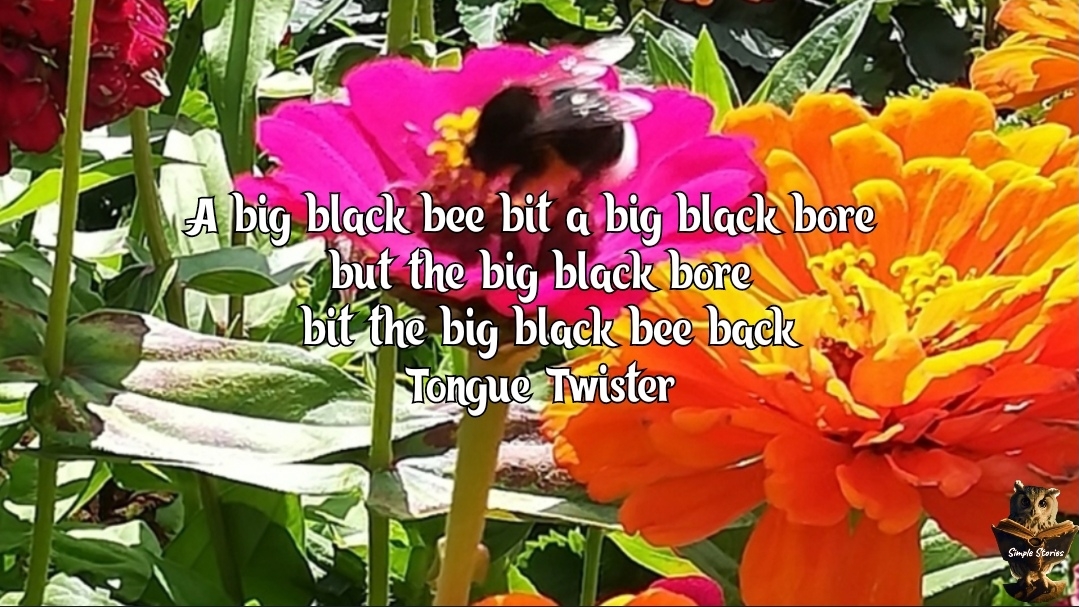 A big black bee bit a big black bore... Tongue Twister