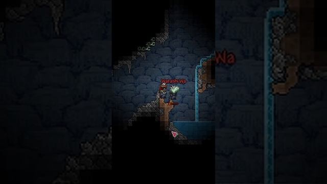 Terraria Я перестал быть отравлен