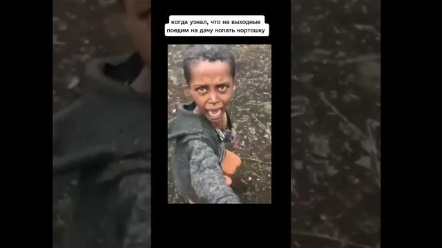 Бу!
Испугался?
Едем на дачу копать кортошку?