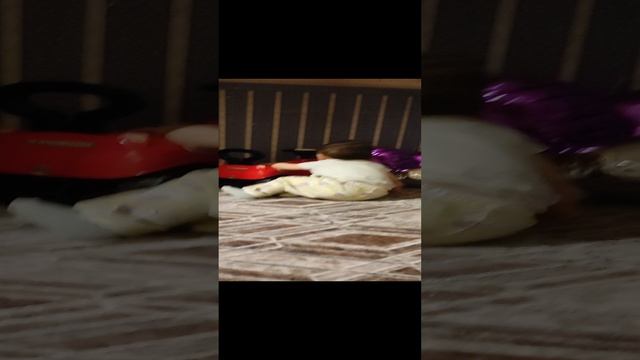 20-11-2024