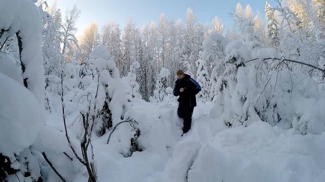 Коми. Вяжем сеть, копаем пункты.