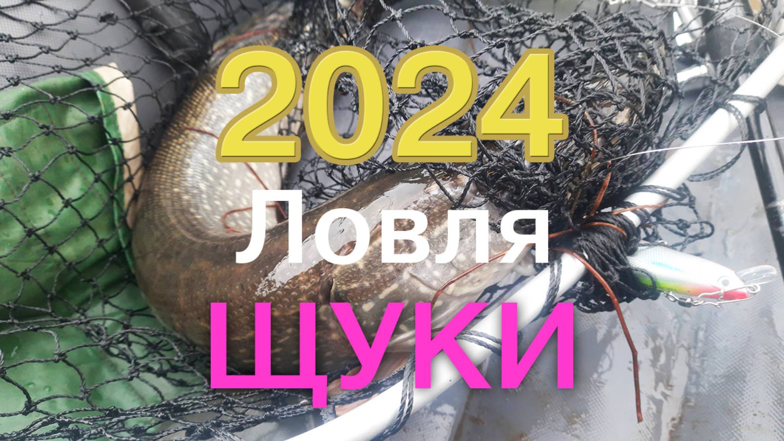 Ловля ЩУКИ - 2024