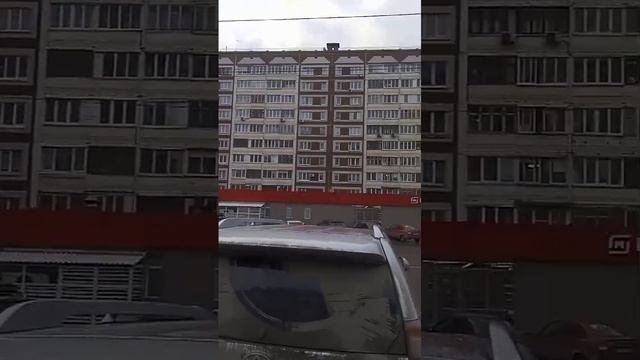 Пушкинская, д. 116