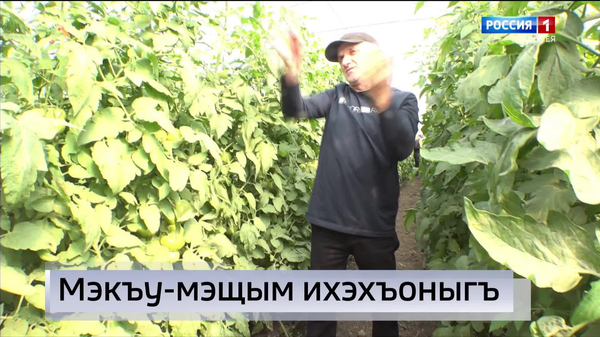 9.30 –«Къэбархэр» от 20.11.2024