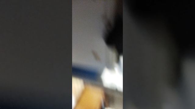 1000010150.mp4