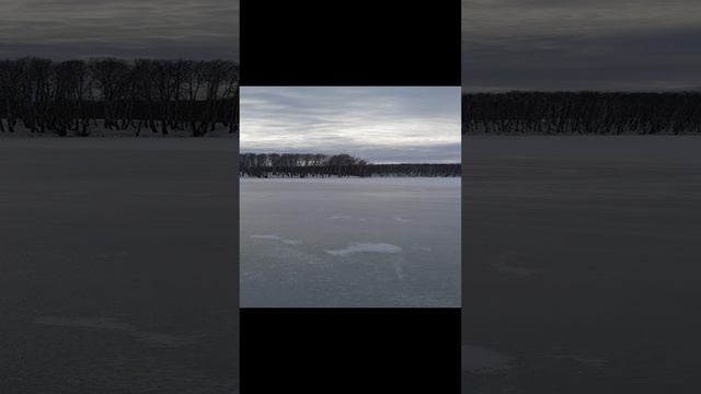 Запускаем окуни в свой водоём 17.11.2024г.