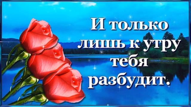 Всем Спокойной тихой мирной ночи 🙏🙏🙏🙏💕💕💕💕💕💞💞💞💞💕💕